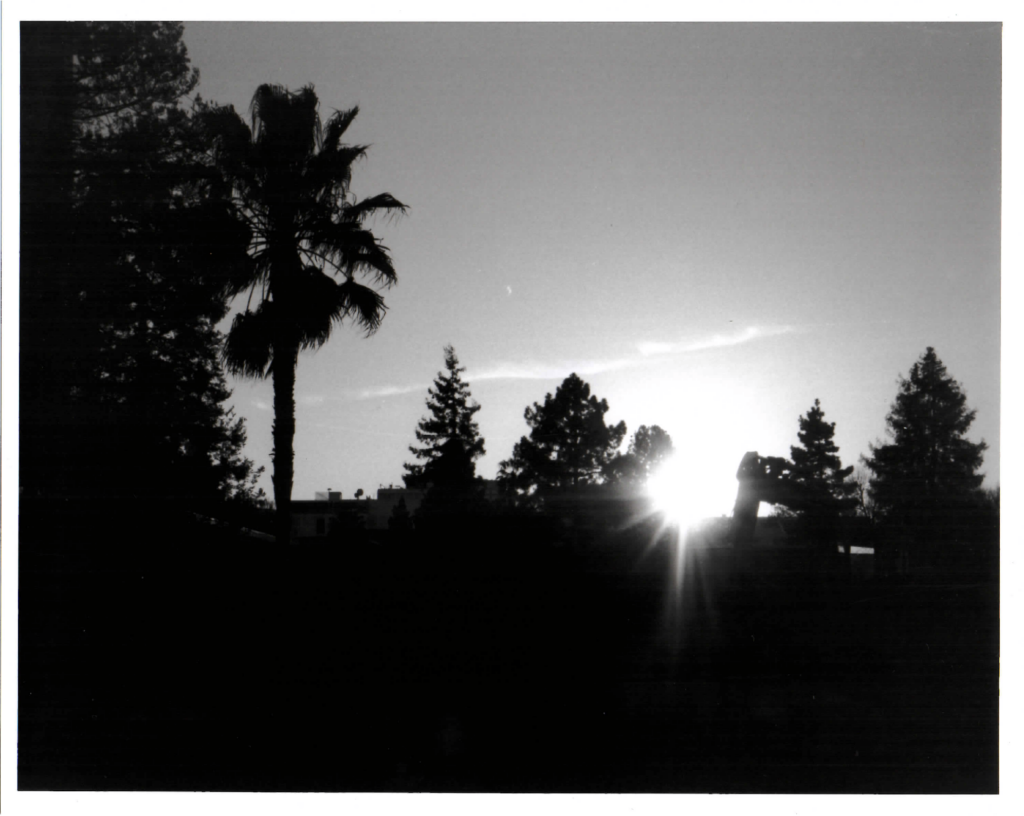 black and white photography sun blast