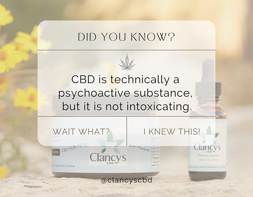 Clancys-CBD-Social-Media-Content